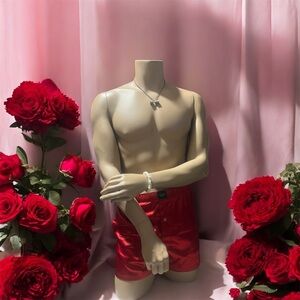 American Eagle Outfitters Red Boxers